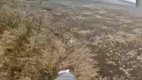 Minus four quad pigs from the Pokrovsky direction