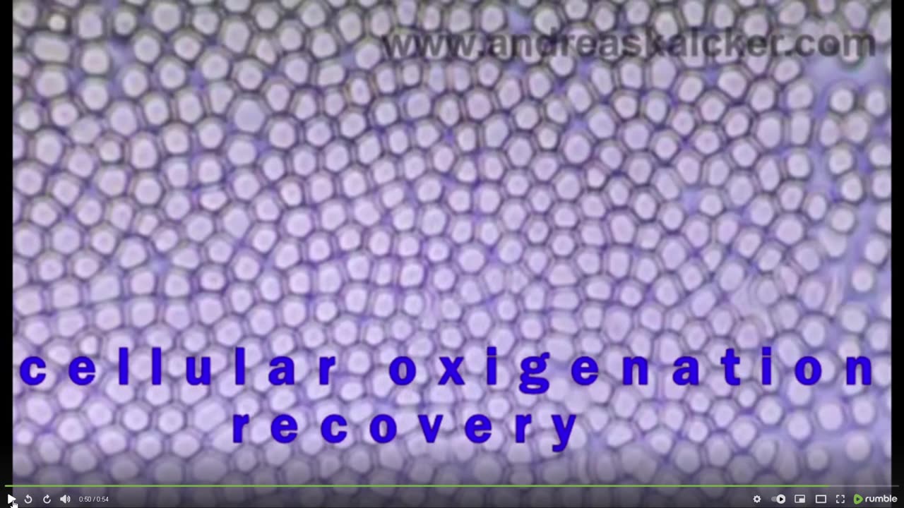 Leszek Kloszewski | Fenomen CDS – jak działa "uniwersalne antidotum"?