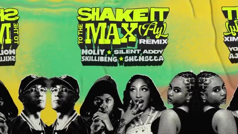 SHAKE IT TO THE MAX (REMIX) OFFICIAL AUDIO -4D Trands