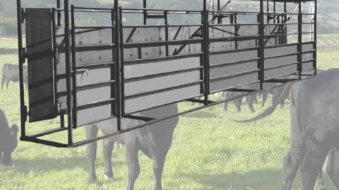 American-Made Adjustable Alleyway