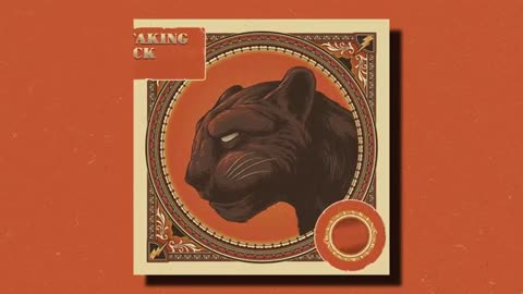 Taking back sunday,Set Phasers To Stun