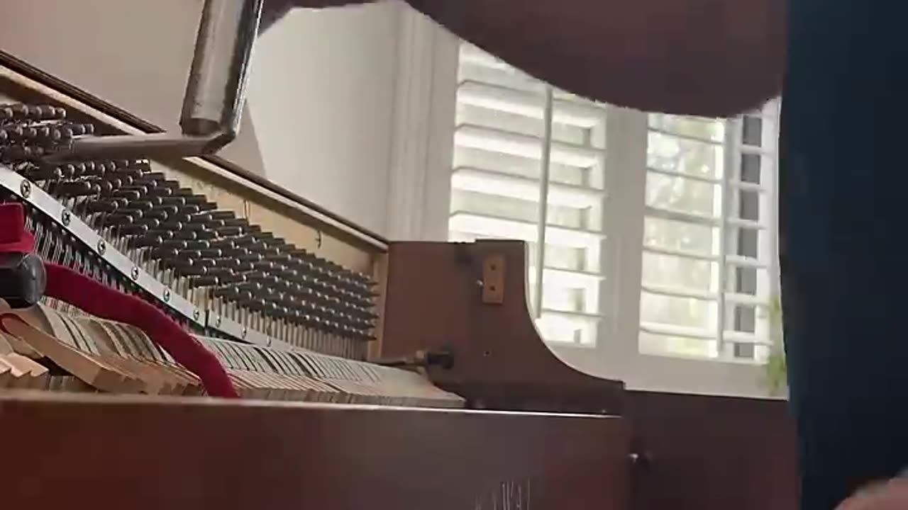 Saturday tuning #shorts #pianotechnician #dhmproductions