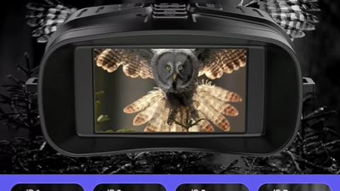 Night vision goggles