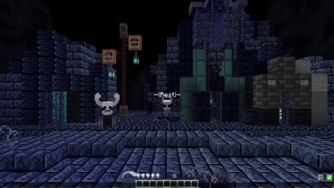 Minecraft: Hollow Knight