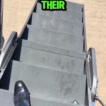 How to make money in court 💼