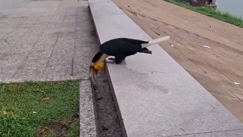 😂🍴 The Funniest Way to Get Fed! | FunFM