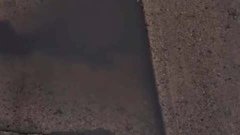 😨👻 OMG! What is This Ghostly Figure? | TheHauntingHour