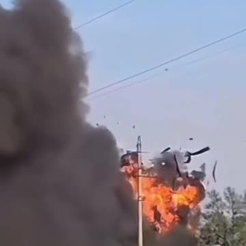 Americans Rush to Adopt a Gheran Analog. Trump Orders a Cheaper Version — But It Costs $41 Million