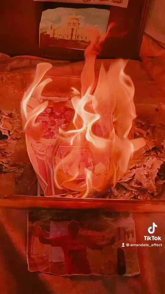 Tim Rifat TikTok Videos