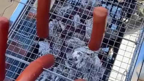 Hot Dog wars