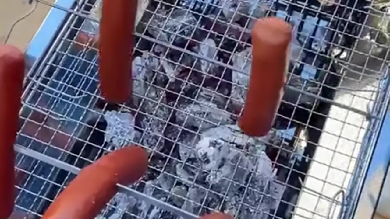 Hot Dog wars