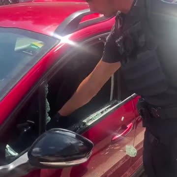 If you leave your pet in a hot vehicle you deserve to have this happen to your car.