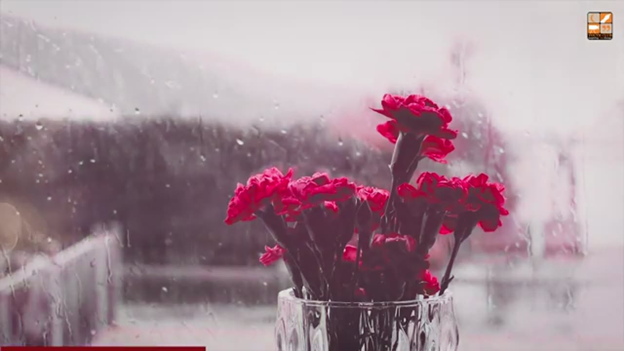 Wake Up O Youth || Emotional Reminder || Mohammad Ali