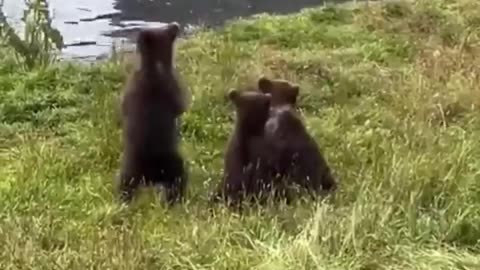 😂😂 You Won't Believe This Back-and-Forth Argument! | FunFM