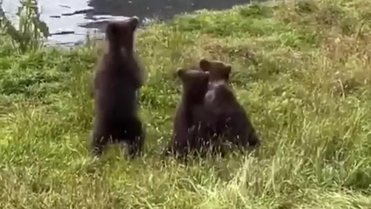 😂😂 You Won't Believe This Back-and-Forth Argument! | FunFM