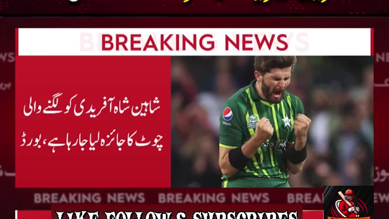 SHAHEEN CAPTAIN LOSS