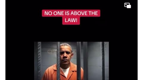 Trump Says Nobody Is Above The Law