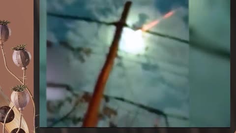 FREAKY CRYPTCRAWLERS UFO ... INCREASING BY THE DAY