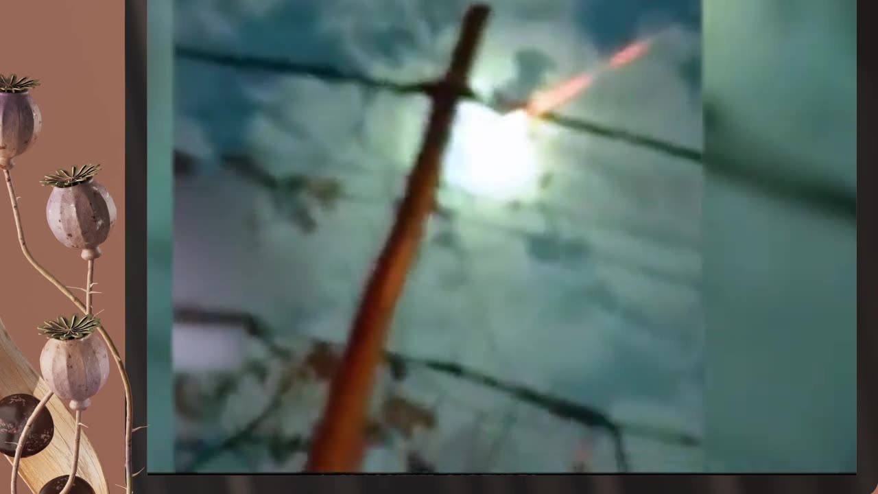 FREAKY CRYPTCRAWLERS UFO ... INCREASING BY THE DAY