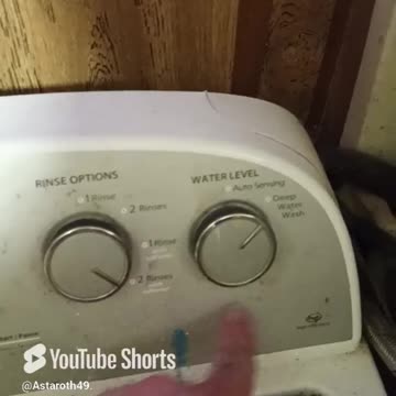 I got a new soap to try on Laundry Day! #poorman