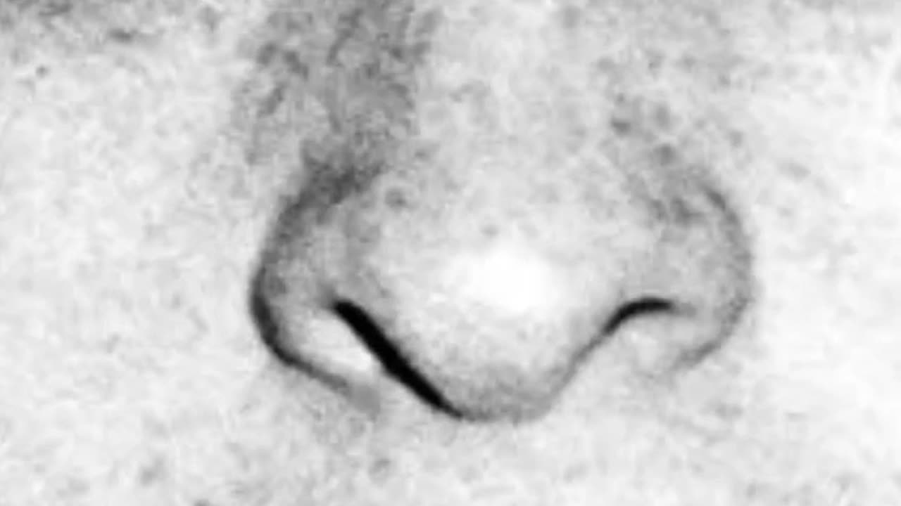 THINGS PEDOPHILES SAY - VOL. 357: CHARLES STARKWEATHER