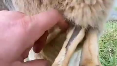 wonders of the world