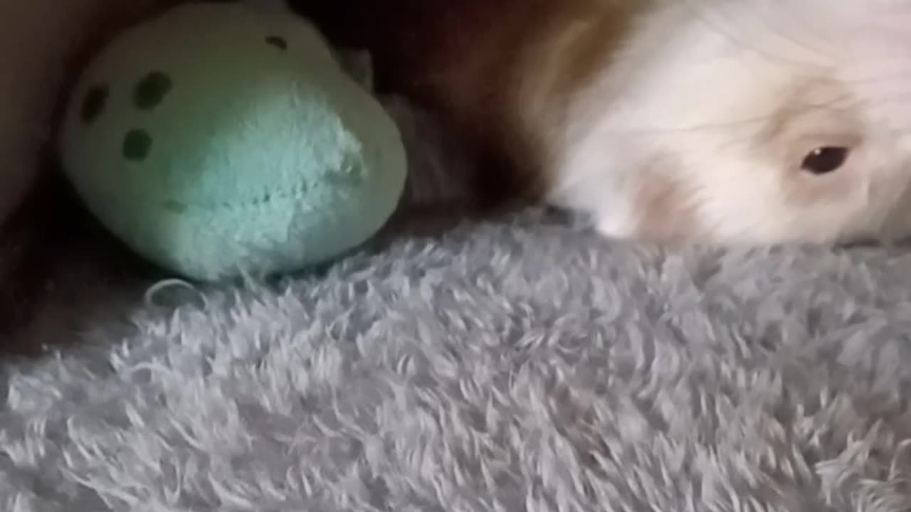 I love this weirdo so much!!