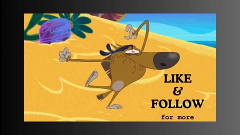 zig and sharko