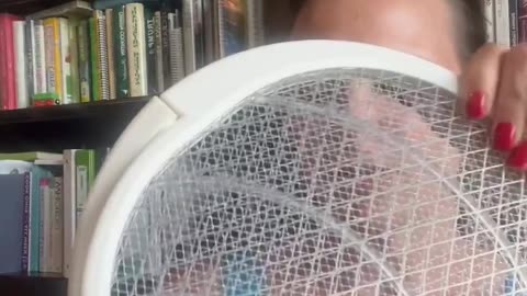 Electric Bug Zapper Racket Mosquito Fly Gnat Wasp Killer USB Type-C Rechargeable