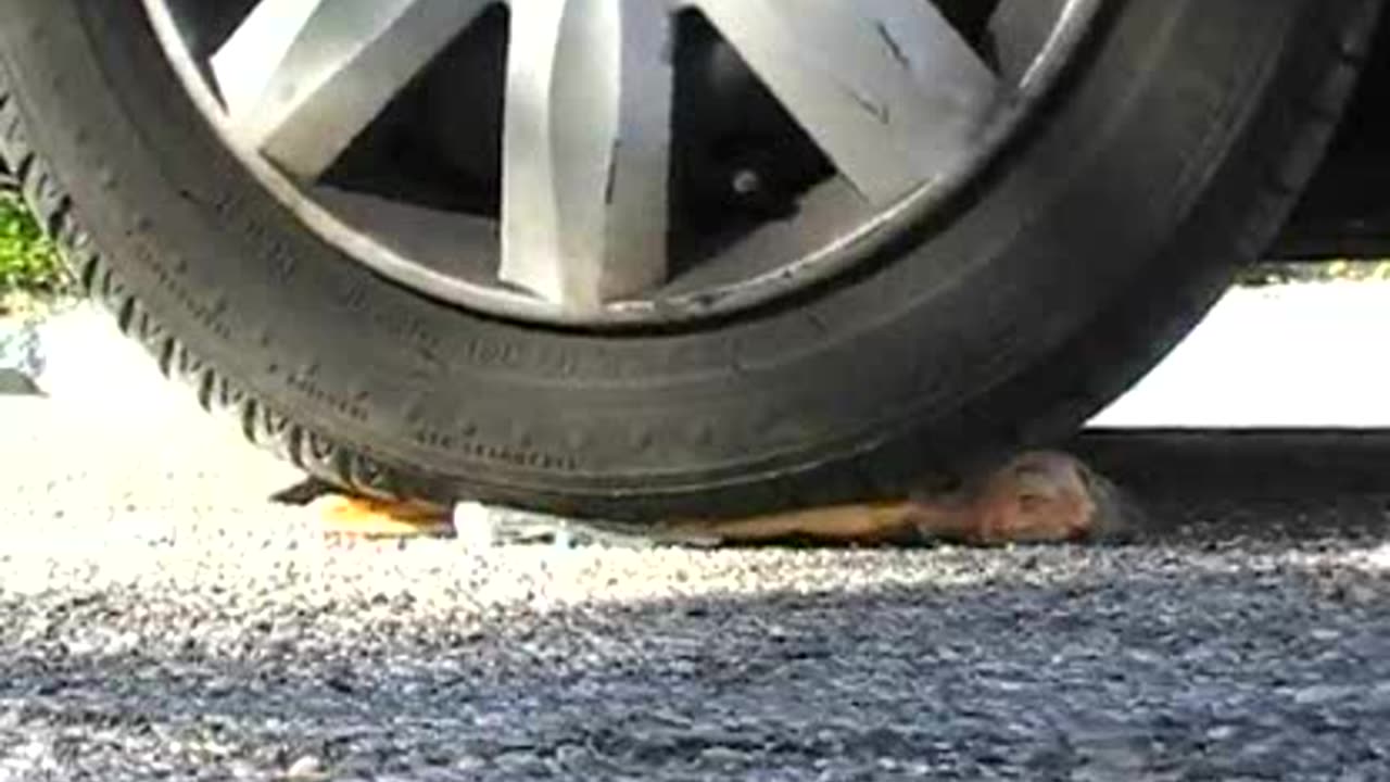 Jennifer Crushes Barbie Doll