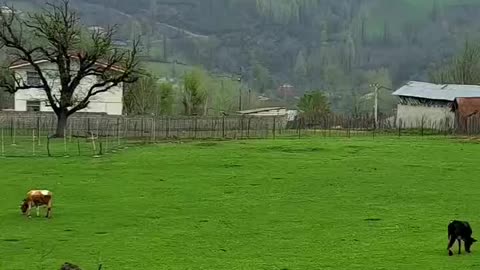 Estakhrgah ,Rudbar County, Gilan Province, Iran