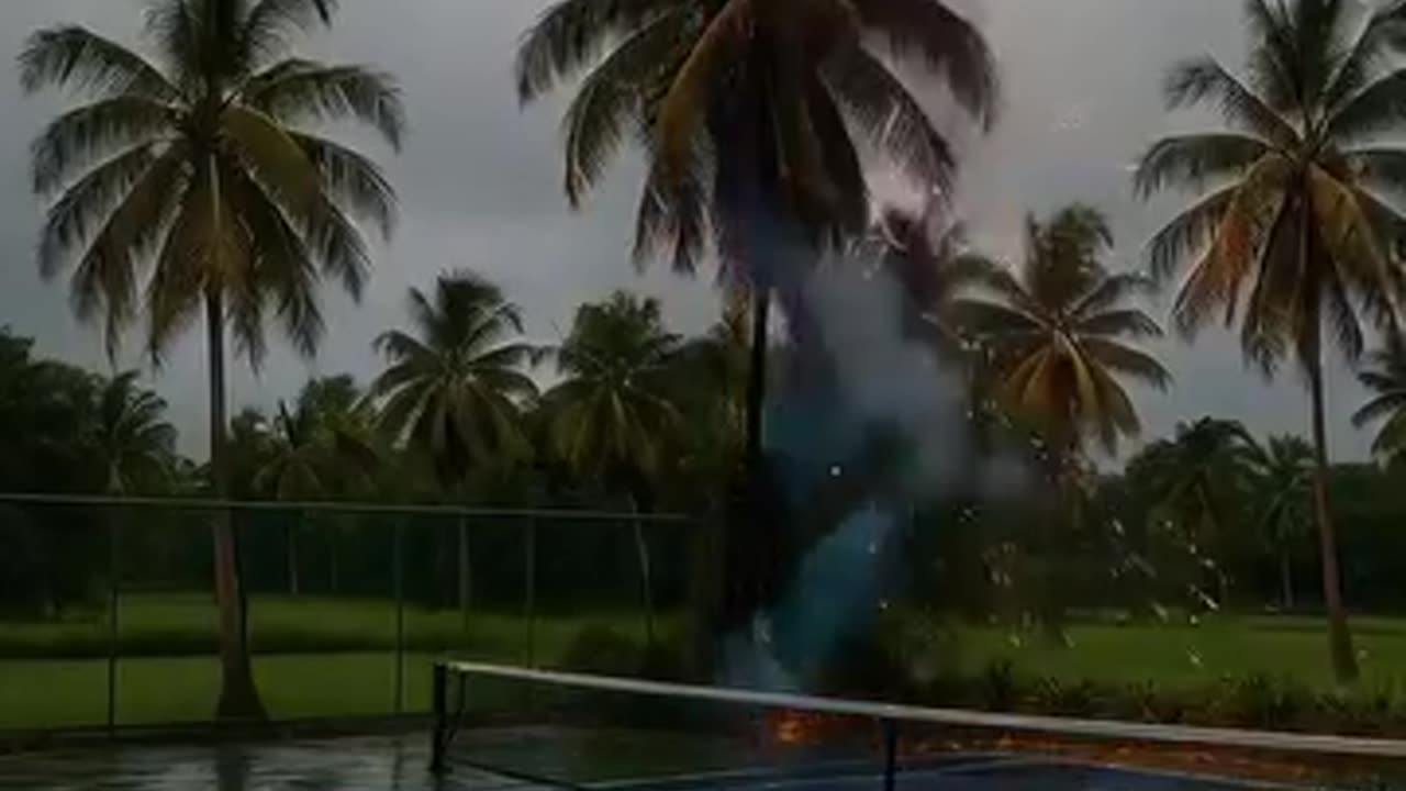 Lightning Strikes Palm Trees! ⚡🌴