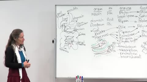 Barbara O'Neill - Part 13 Improving health through digestion