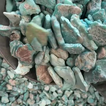 Turquoise Rough Stone Uncut Natural Treasure