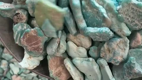 Turquoise Rough Stone Uncut Natural Treasure