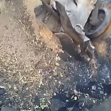 Footage from the enemy side