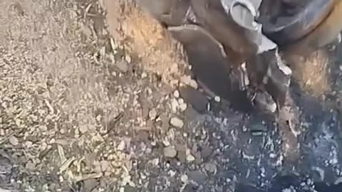 Footage from the enemy side
