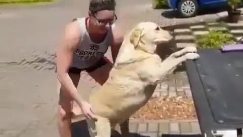 funny animals