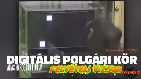 Demens Pedofil Kutyák felvételi vizsgája