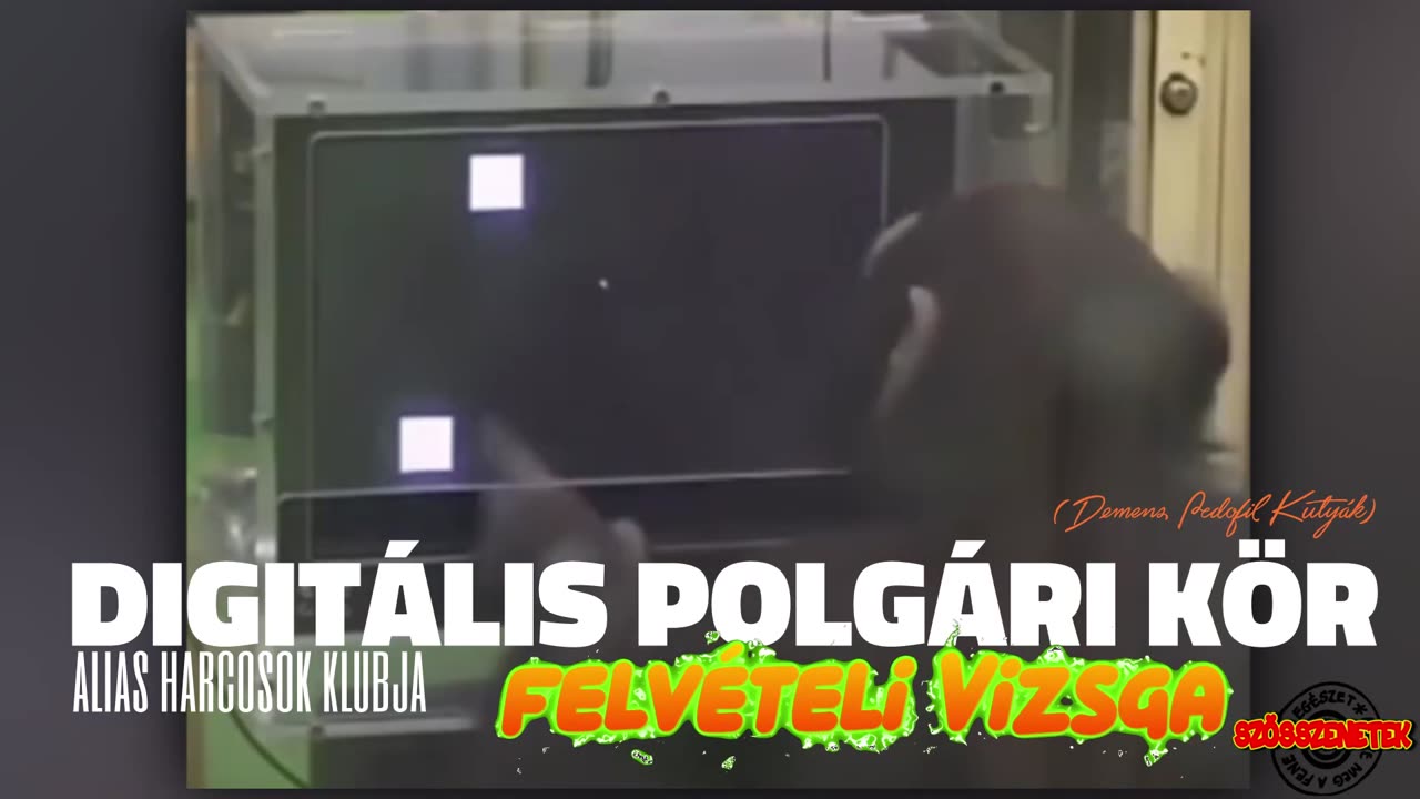Demens Pedofil Kutyák felvételi vizsgája