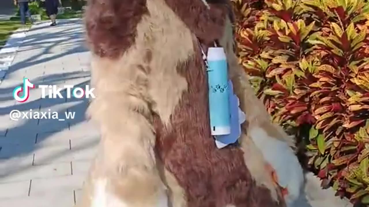 .