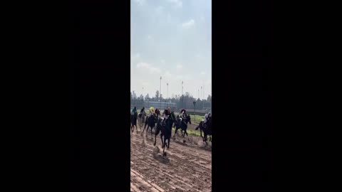 Dubai World Cup! Horse Racing! From Cincinnati Selfless Series!