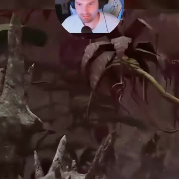 Have Fun Playing Your Game, Don't Worry About Others