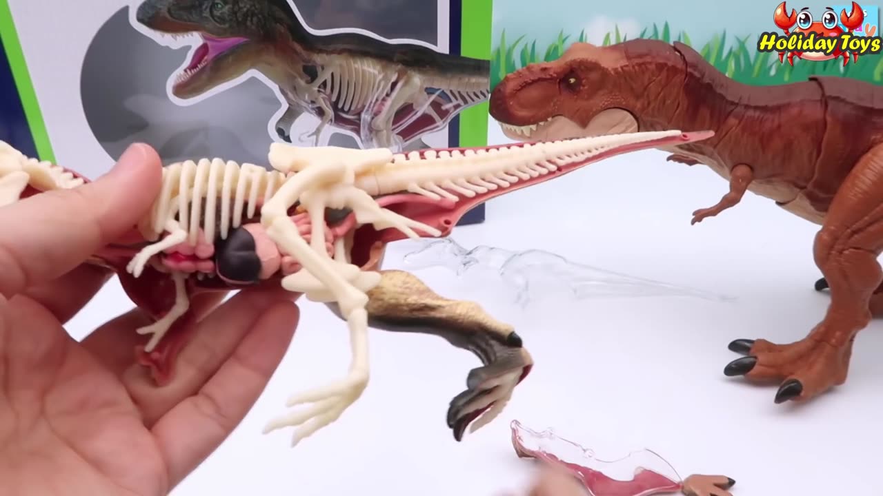 Burying Dino's Tail that Came Off After Being Bitten by Another Dino