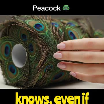 Peacock Toilet Paper...