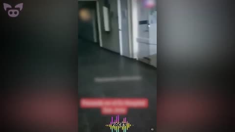 Hospital Horror 🏥 - Slapped Ham Shorts
