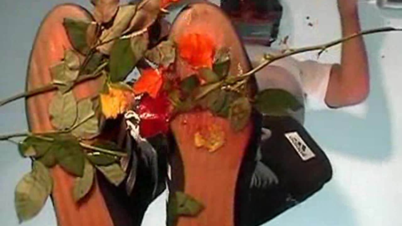 Adidas Box Crush Flowers - Male Content