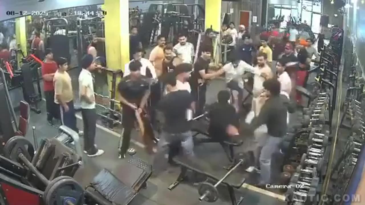 Pajeets' Gym Fight