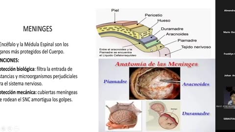 VONEX SEMIANUAL 2025 | Semana 06 | Psicología