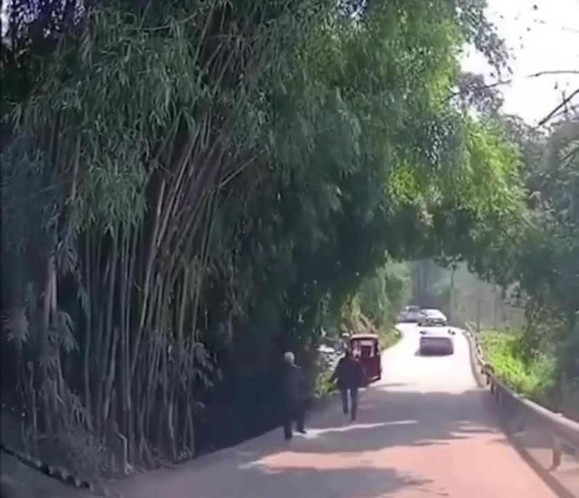 Person on wheelchair runs away